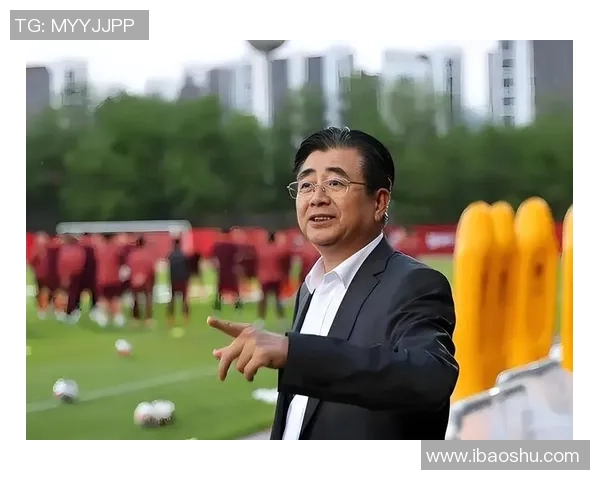 足球明星与中国篮球明星的辉煌成就与影响力对比分析